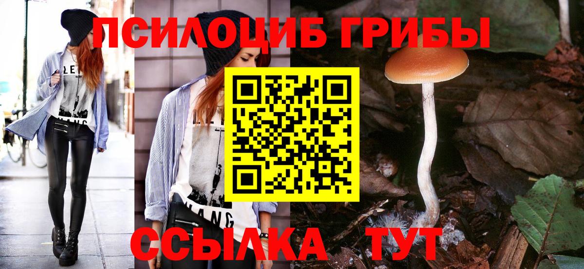 Галлюциногенные грибы мицелий  Вход с VPN  Горно-Алтайск 